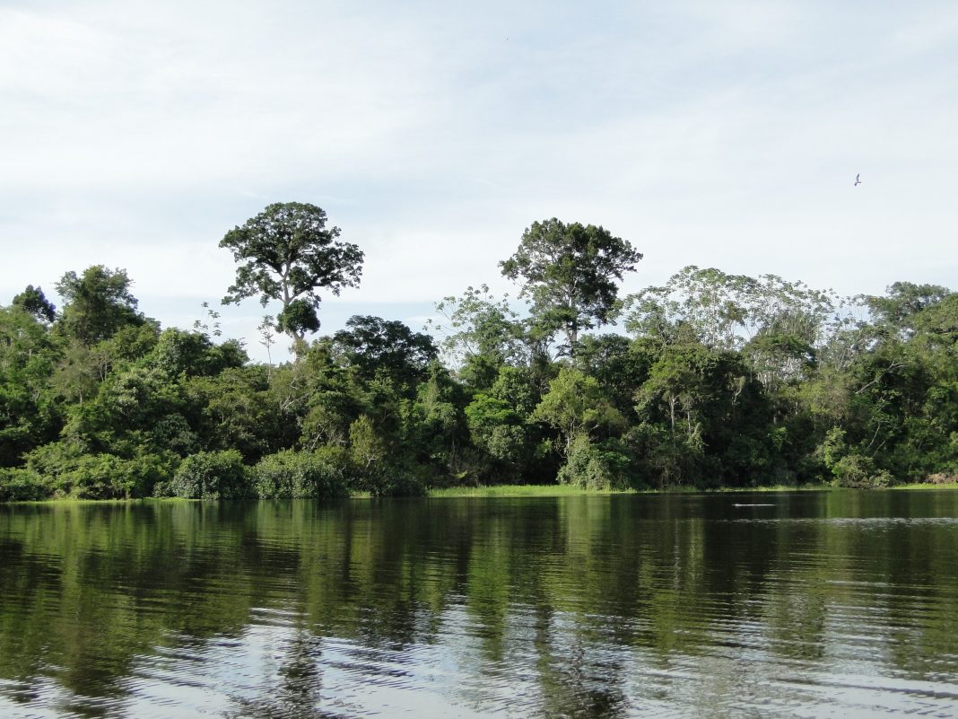 Río Amazonas - Leticia